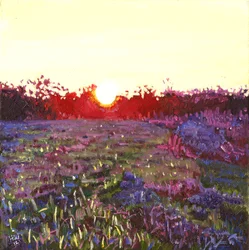 Farley solnedgång, 2012,